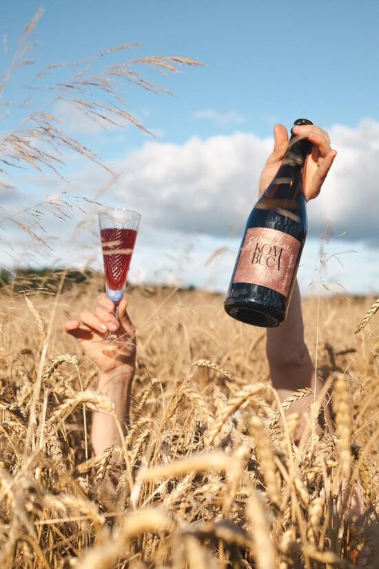 SVĒTKU kombuča | Pūķgalve ar aroniju